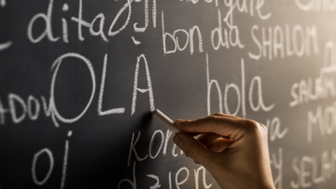 Language and Culture