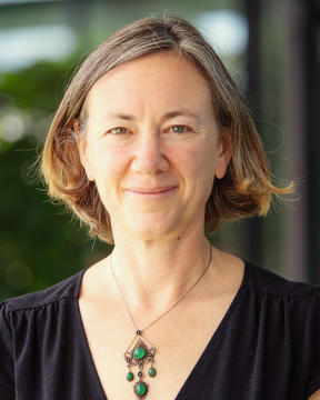 Rebecca Nesson, Executive Director of the Derek Bok Center for Teaching and Learning