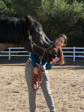jordan_horsebarn.png