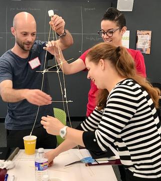 STEM preceptors doing a creative project
