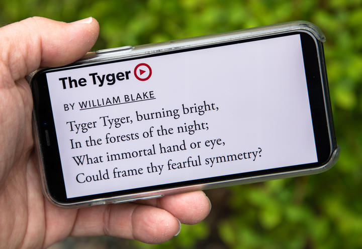poem text on cell phone