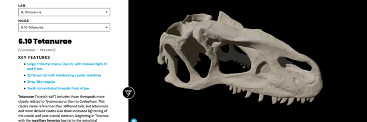 Lab 3D digital resource with image of dinosaur skull and description of features