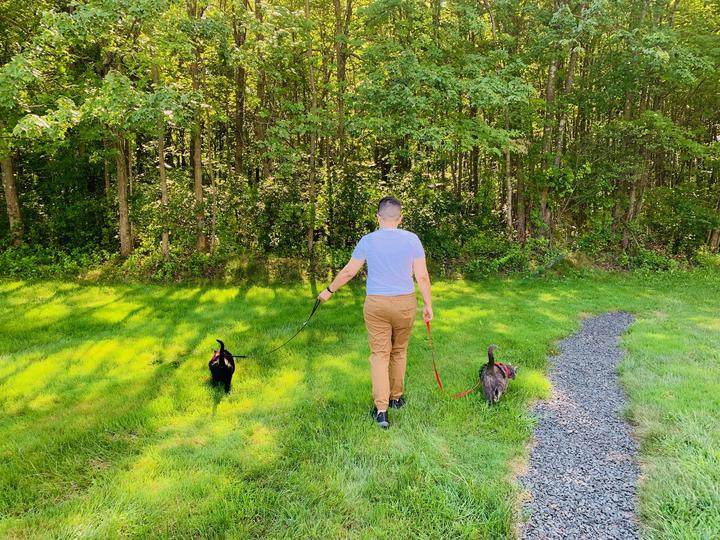 Ashlie going for a walk with her two cats on a leash